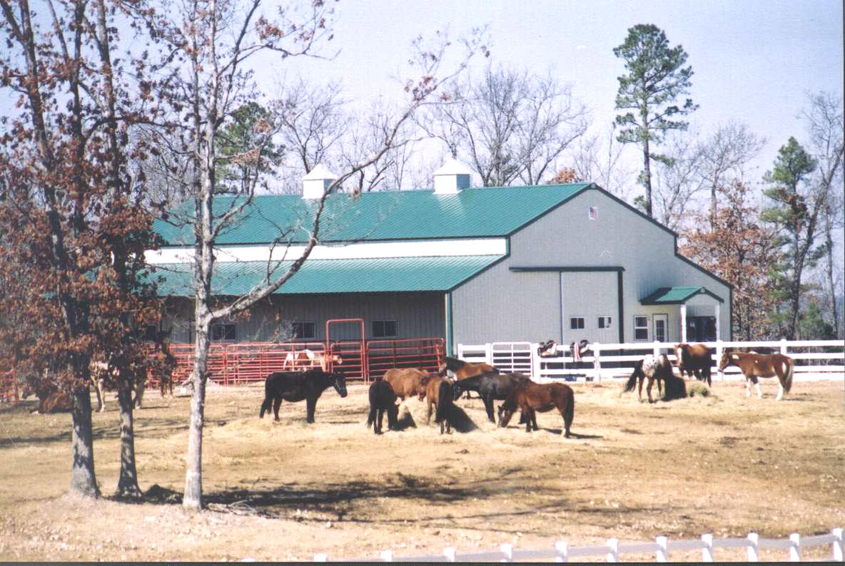 University Of Arkansas Equine Program
